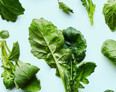 Transparent Ingredients